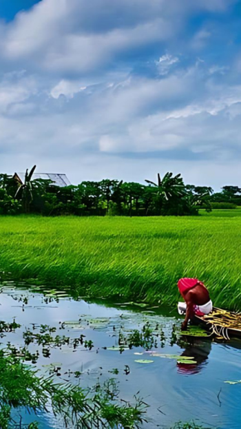 Bangladesh